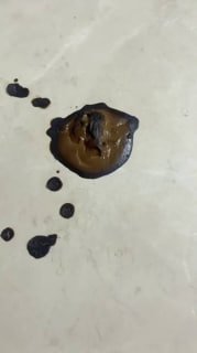 TLWW22588【曼欲S】第一视角_10分钟极限辱骂狗屎羞辱的封面