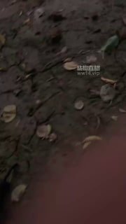【苏御大人】063 野外活埋跑骚狗的封面