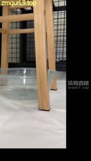 荷花会所2026-03-31十个女孩一盆黄金的封面