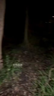 TLWW25168【芝芝女王】户外活埋小贱货的封面