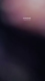 TLWW24881【圣母S】老狗清理脏高跟的封面