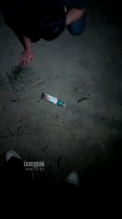 TLWW23769【Niki】户外遛狗犬化场的封面