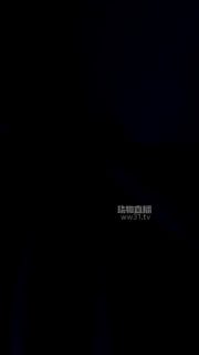 【一茶S】505 第一视角-肉丝腋下美臀诱惑的封面