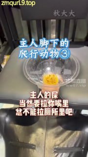 杭州秋大大2026-04-26_爬行动物_3的封面