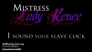 Mistress Lady Renee I sound your slave cock的封面