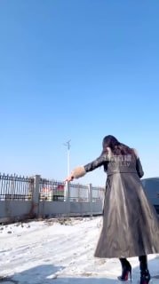 TLWW22344【兰主人】雪地户外训狗的封面