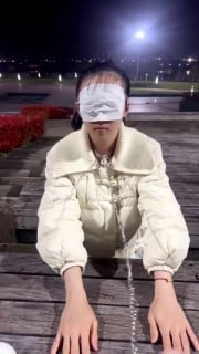 TLWW24765【合肥宇王】户外遛母狗的封面