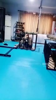 TLWW27146【青妍艾斯】狗子圈养第四天的状态_mp4的封面