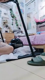 TLWW25070【钰大大】捆绑木乃伊狗的封面