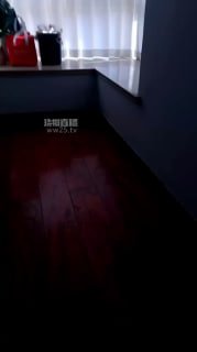 TLWW22322【夫妻主糖糖】圈养犬化脚下羞辱的封面