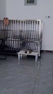 #国际庄的封面