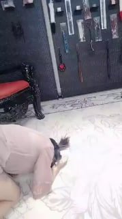 TLWW25845【炽奈S】合格狗奴的标准的封面