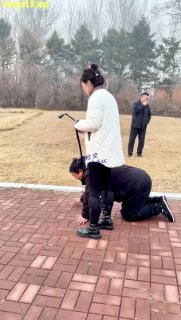 #冷焱 犬化狗爬专场的封面