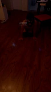 TLWW27848【夫妻主糖糖】开发小奶狗.mp4的封面