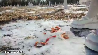 潇潇高跟全体重踩踏的封面