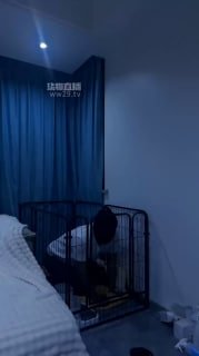 TLWW25731【徐子大大】狗笼圈养犬化场的封面