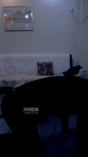 #浮生的封面