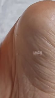 TLWW26902【静怡S】第一视角_油足脚泥脚底褶皱_mp4的封面