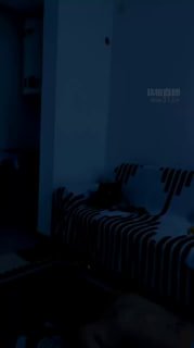 TLWW24758【国际庄S】04狗初次上课的封面