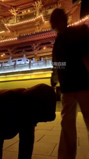 TLWW24579【海海】户外遛狗场的封面