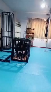 TLWW24196【青妍艾斯】狗笼囚禁-吊绑虐打的封面