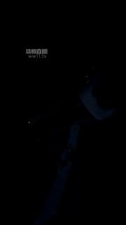 【狗哥M】1226 开发酒吧小妹车内调【Vito】的封面