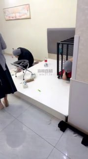 TLWW27938【荷花会所】圈养狗笼犬化场.mp4的封面