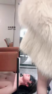 【黛樱S】065 直接黄金负压瓶持续吸气味的封面