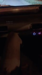 TLWW23576【温蒂WendyS】素人开发网约车司机_高跟肉丝车内调司机奴的封面