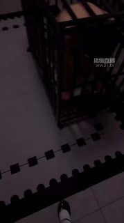 TLWW27641【百柔sama】圈养狗笼犬化场.mp4的封面