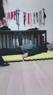 TLWW24660【淘淘】圈养狗犬化场的封面
