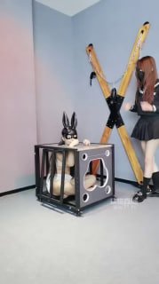 TLWW25910【眠眠S】狗笼囚禁骚母狗的封面