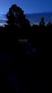 TLWW29034【桃桃S】双S-野外公开训狗.mp4的封面