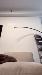 TLWW23616【玉兔S】第一视角-午夜栏目85分钟的封面